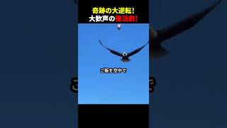 奇跡の大逆転！大歓声の復活劇！