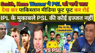 Pak Media Crying On IPL Left Player PSL Played | Pak Media On IPL Vs PSL | D Warner Pak Media Reacts