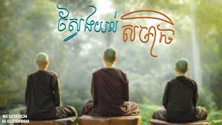 I Discovered the Secret to ស្វែងយល់ពីសមាធិ II [04/01/2025]