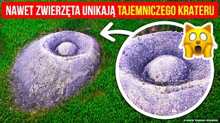 Tajemniczy obiekt w lesie, od którego nawet zwierzęta trzymają się z daleka