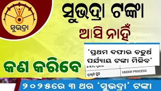 ଶୁଭଦ୍ରା ଟଙ୍କା ଆସି ନାହିଁ **କଣ କରିବେ #subhadra #subhadrayojana #4th subhadra Yojana money 🤑💰🤑🤑🤑🤑💰💰🤑