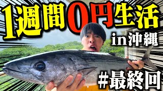 特大カツオを捌いたら高級珍味の卵出てきた！【1週間0円生活最終話】