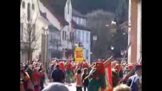 Hexenumzug 2014 in Bräunlingen - Fasnet