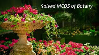 Past papers Solved MCQs of Botany from FPSC test | Botany solved MCQs