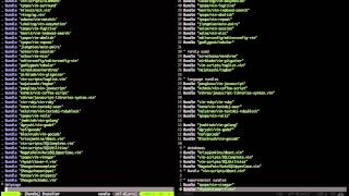02 - Plugins - Installing Plugins with Vundle