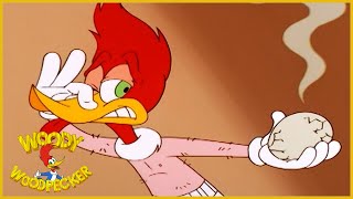 Woody Woodpecker Show | Chicken Woody |  Episode | Cartoons For Children