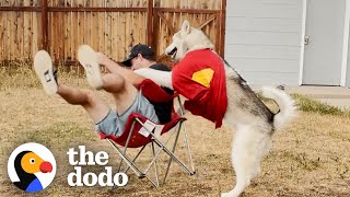 When Teaching Your 85-Pound Dog To Give Hugs Goes Wrong | The Dodo