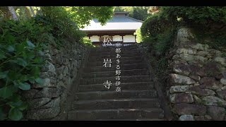 松岩寺 / 東京都あきる野市伊奈