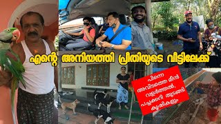 എന്റെ അനിയത്തിയുടെ വീടും അവിടെയുള്ള കൃഷികളും //AJU'S WORLD