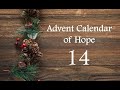 Advent Calendar of Hope - Day 14: Hope in times of transition