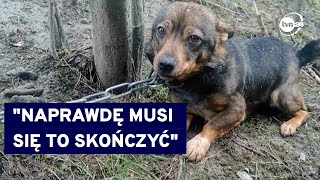 Zakaz trzymania psów na łańcuchu? Organizacje prozwierzęce przygotowały obywatelski projekt ustawy