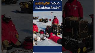 అంటార్కిటికా గురించి ఈ సంగతులు తెలుసా?| Did You Know These Facts About Antarctica