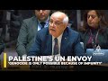 ‘Genocide is only possible because of impunity’: Palestine’s UN envoy