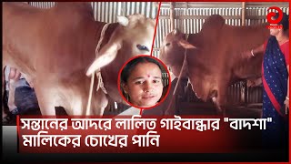 'সাবধান' কোরবানির হাটে আসছে বাদশা? | Cow | Kurbani-2023 | Market | Asian Tv