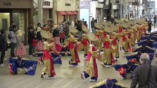 十人十彩 2018 今治よさこい祭り 商店街ストリート 2回目 START [4K] 11.04