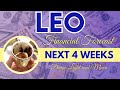 LEO ♌️ You Have GOT MAIL! 💌 MONEY IS COMING!! 🏆 NEXT 4 WEEKS ✨ Money, Career, Success 💰