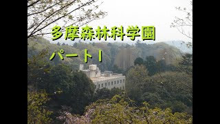 多摩森林科学園パート1（虫画像あり）