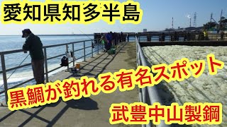 【愛知県釣り】黒鯛が釣れる有名スポット！武豊中山製鋼温排水！