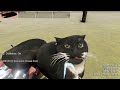 I Went on a Rescue Mission to Find My Cats in The Long Drive Mods!