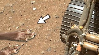 New Video Footage of Mars || Mars 4k Video || Perseverance Rover: Life on Mars