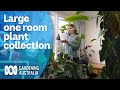 A teenager's impressive indoor plant collection | My Garden Path | Gardening Australia