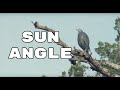 Sun Angle | JUST THE TIP | Kayak Bass Fishing