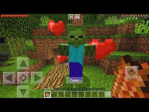 Can you tame a zombie in Minecraft PE?