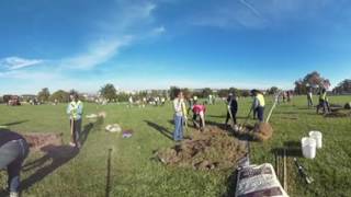 Casey Trees is Re-Planting the Urban Canopy