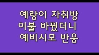 예랑이 자취방 이불바꿨더니 예비시모가 하는 말ㅋ