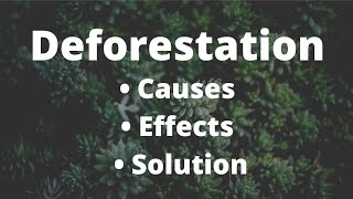 Deforestation | Causes , Effects and Solution | #study