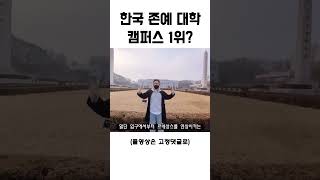 존예 대학 캠퍼스 1위? #분교 #이원화