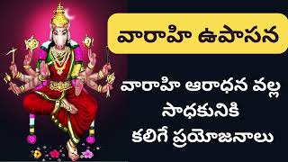 వారాహి ఉపాసన వారాహి ఆరాధన వల్ల సాధకునికి కలిగే ప్రయోజనాలు|varahiupasana|spiritualthrist