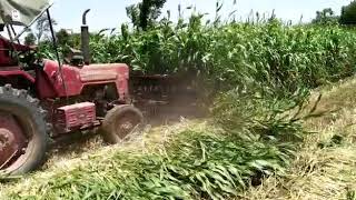 Jowar cutting Mahindra tractor  ( priya reaper )   GUJARAT,  Dhrangadhra