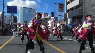 爽.上州高崎雷舞爽踊隊「全演舞」☆高崎だるま市2018 in 高崎駅西口前通り