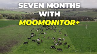 Seven Months with MooMonitor+