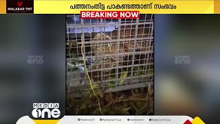 പത്തനംതിട്ട പാകണ്ടത്ത് വനം വകുപ്പ് സ്ഥാപിച്ച കൂട്ടിൽ പുലി കുടുങ്ങി