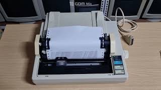 EPSON LX-800 DOT PRINTER