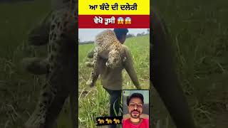 ਆ ਬੰਦੇ ਦੀ ਦਲੇਰੀ ਵੇਖੋ ਤੁਸੀ 😱#viral #shorts #short #shost