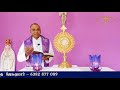 இன்று உங்கள் வாழ்க்கை மாறும் அருள்தந்தை ஜேசு குமார் tamil catholic online tv