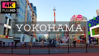 【4K】夕方の横浜駅西口の繁華街を散歩 | Evening Walk in the downtown of Yokohama Station West Exit. (Nov. 2022)