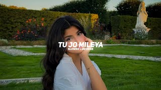 Tu Jo Mileya (Slowed + Reverb) - Juss, MixSingh | BARATO NATION