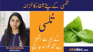 Tulsi Ke Fayde - Health Benefits Of Basil Leaves- Tulsi Ke Patte Ke Fawaid - How To Eat Basil Leaves