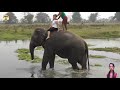 new assamese video song kaziranga bor dhuniya 2020 __