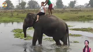 New Assamese video song Kaziranga Bor Dhuniya 2020 //__