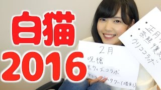 【白猫】2016年の白猫を振り返り！みんなのお気に入りのイベントは？【もえりんちゃんねる！】