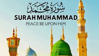 Surah Muhammad (سورة محمد) - Best Quran Recitation in the World | Soft Voice | Emotional Tilawat