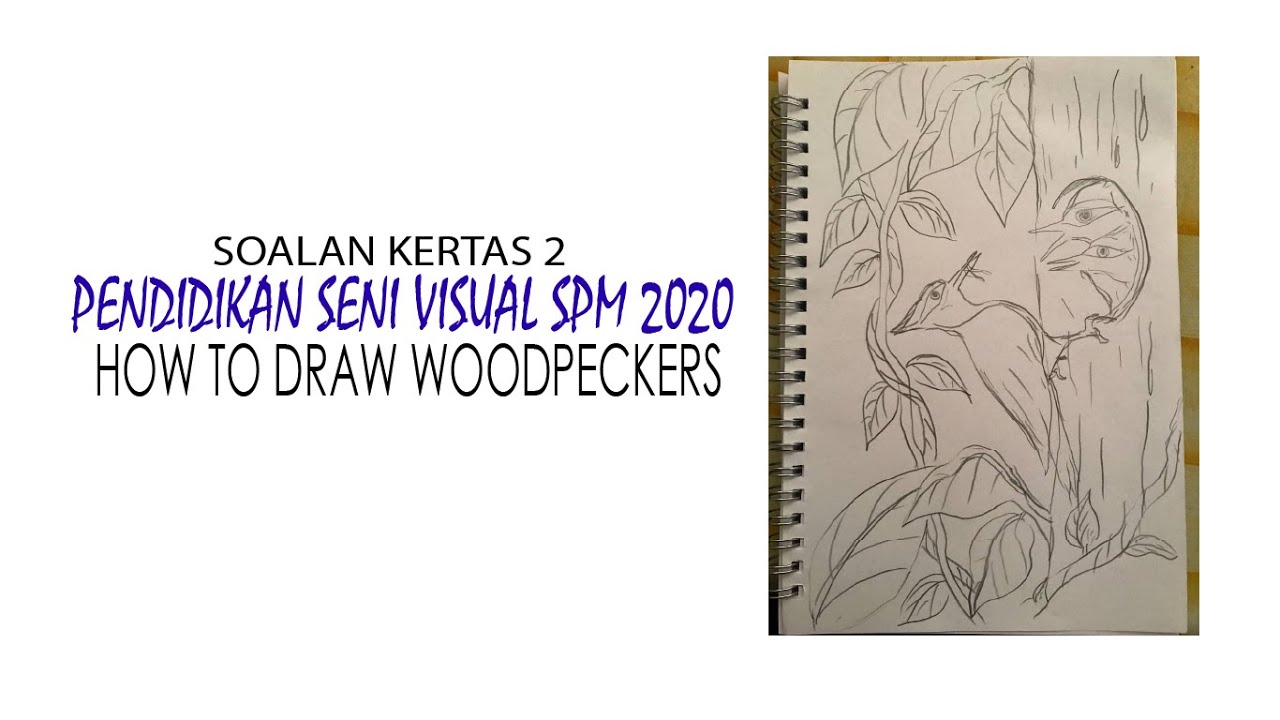 Soalan Kertas 2 PSV 2021 How To Draw A Woodpeckers. - YouTube