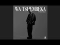 Cooper SA & Small S.P - Wa Tshembeka ft. Tyler ICU & Jay Sax