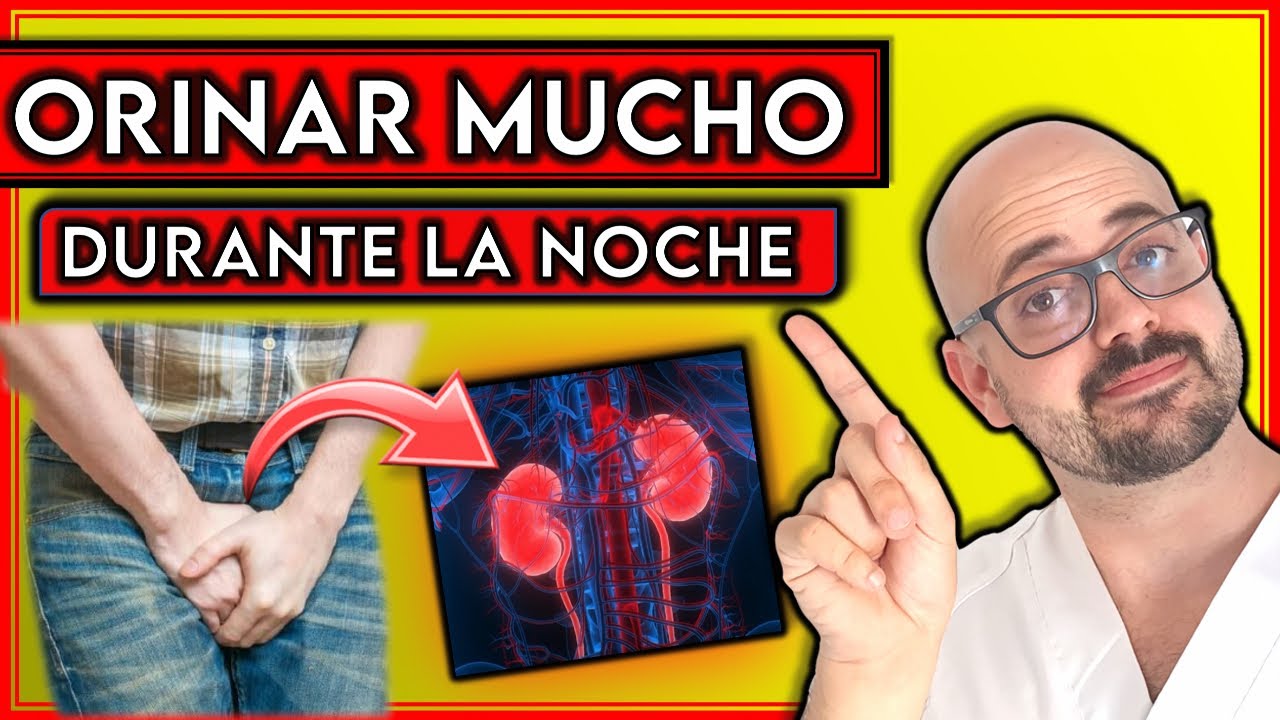 ¿Porqué ORINO Mucho Por La NOCHE? || ¡RAZONES De ORINAR Demasiado De ...