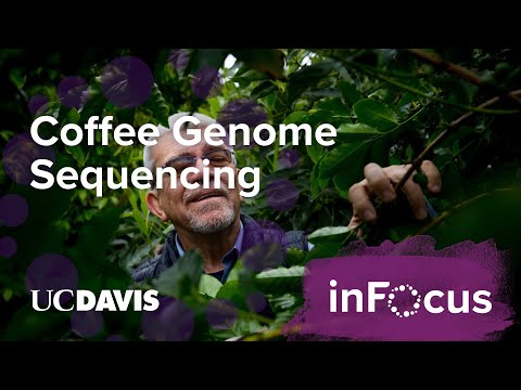UC Davis in 360: Sequencing the Arabica Coffee Genome UC Davis in 360: Sequencing the Arabica Coffee Genome